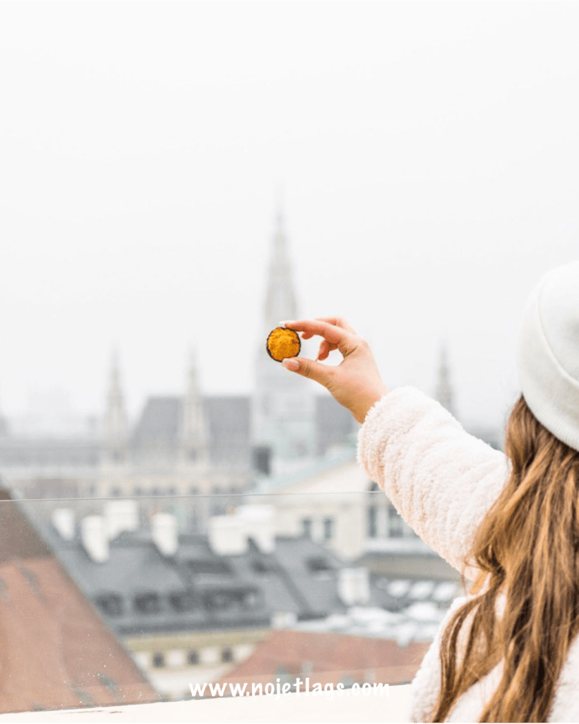 365 Days in Vienna - NoJetLags