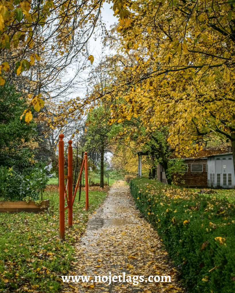Botanical Garden 1 - NoJetLags