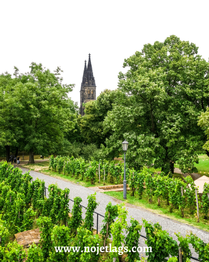 VYSEHRAD (5) - NOJETLAGS